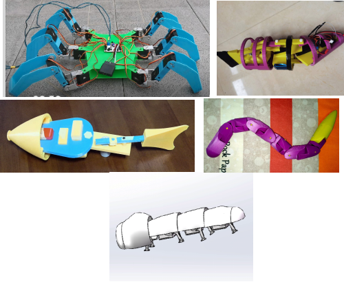 图片1.png 图片1.png