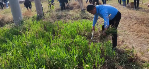 图片.png 图片.png